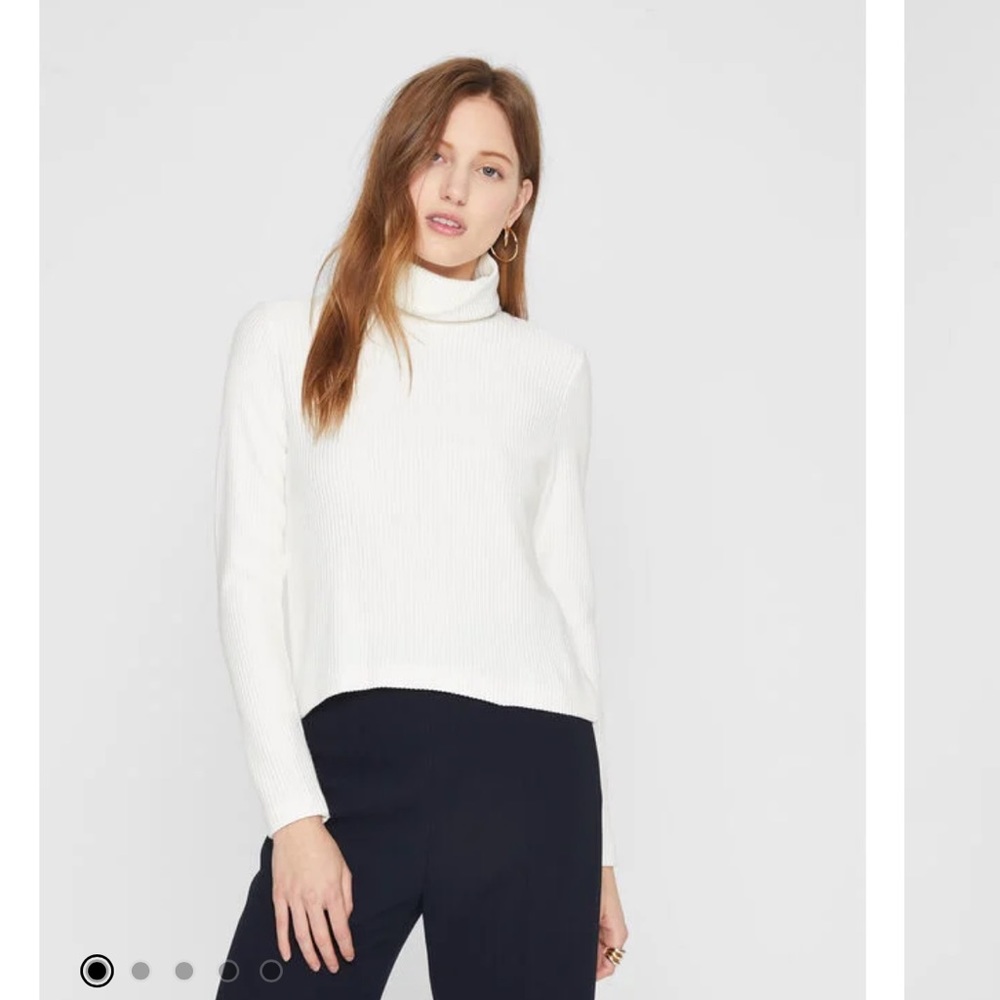 Club Monaco Meredy Turtleneck Sweater